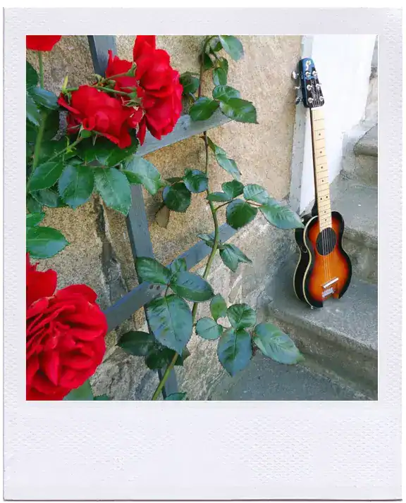 G-Sharp OF-1 | G-Sharp Guitars